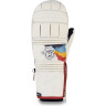 Варежки DAKINE POINTER MITT HCSC RAINBOW Размер XS 10001995 (0610934301205)